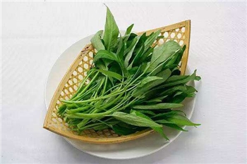 鲜嫩净菜蔬菜空心菜——自洗自理
