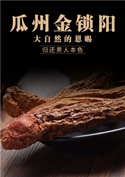 甘肃特产酒泉野生补品锁阳冬季野生